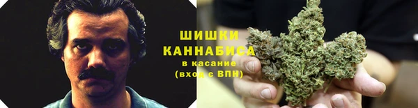дурь Алексеевка