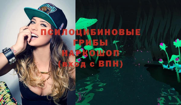 синтетический гашиш Алексин